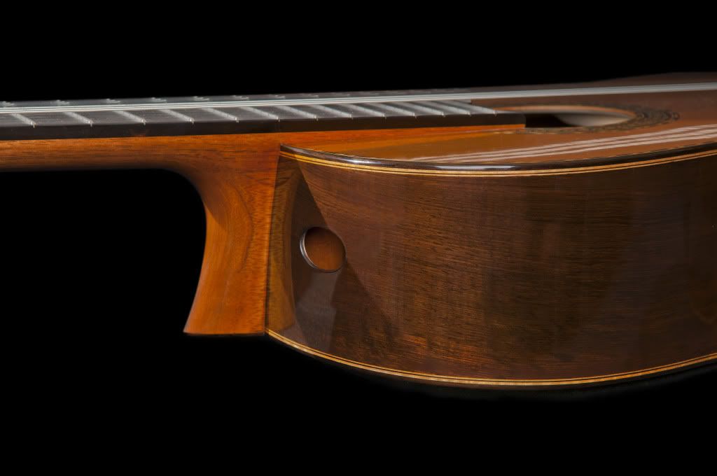 Elevated fingerboard Delcamp Classical Guitar Forum